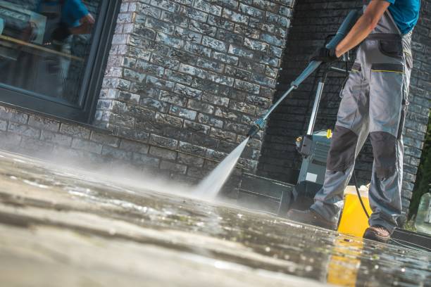Animal Enclosure Cleaning in Randolph Af, TX
